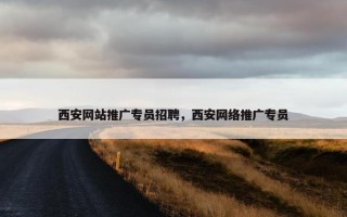 西安网站推广专员招聘，西安网络推广专员