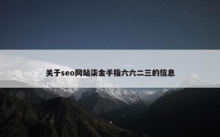 关于seo网站柒金手指六六二三的信息