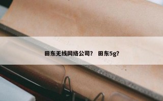 田东无线网络公司？ 田东5g？
