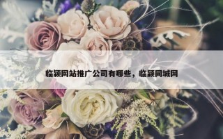 临颍网站推广公司有哪些，临颍同城网