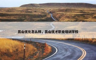 昆山优化怎么样，昆山优才职业培训学校