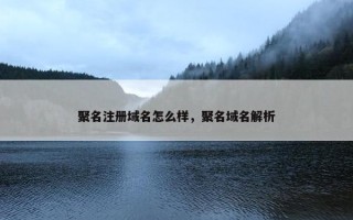 聚名注册域名怎么样，聚名域名解析