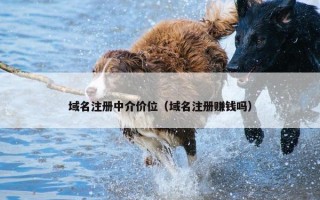 域名注册中介价位（域名注册赚钱吗）