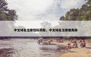 中文域名注册挂标简报，中文域名注册服务商