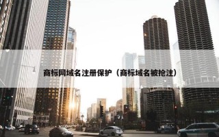 商标网域名注册保护（商标域名被抢注）