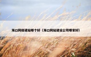 海口网络建站哪个好（海口网站建设公司哪家好）