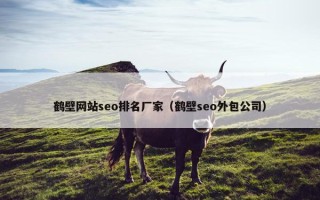 鹤壁网站seo排名厂家（鹤壁seo外包公司）