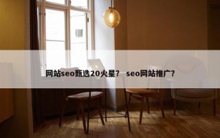 网站seo甄选20火星？ seo网站推广？