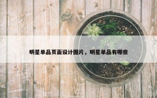 明星单品页面设计图片，明星单品有哪些