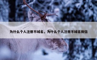 为什么个人注册不域名，为什么个人注册不域名微信