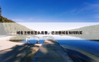 域名注册后怎么出售，已注册域名如何购买