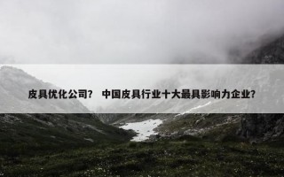 皮具优化公司？ 中国皮具行业十大最具影响力企业？