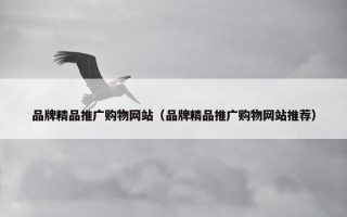 品牌精品推广购物网站（品牌精品推广购物网站推荐）