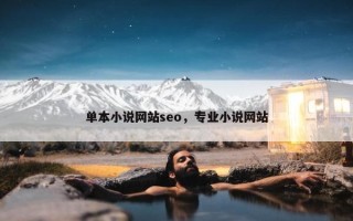 单本小说网站seo，专业小说网站