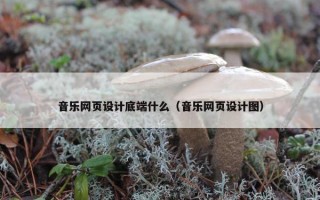 音乐网页设计底端什么（音乐网页设计图）