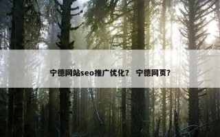 宁德网站seo推广优化？ 宁德网页？