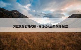万江优化公司代理（万江优化公司代理电话）