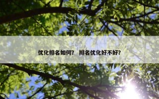 优化排名如何？ 排名优化好不好？