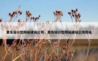 惠东设计型网站建设公司，惠东设计型网站建设公司排名