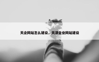 天企网站怎么建设，天津企业网站建设