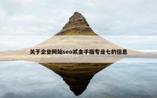关于企业网站seo贰金手指专业七的信息