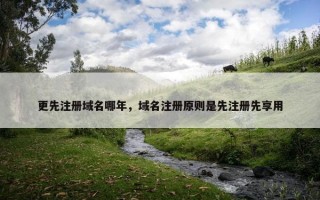 更先注册域名哪年，域名注册原则是先注册先享用