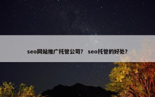 seo网站推广托管公司？ seo托管的好处？