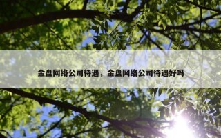 金盘网络公司待遇，金盘网络公司待遇好吗