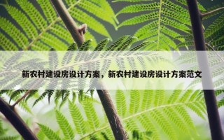 新农村建设房设计方案，新农村建设房设计方案范文