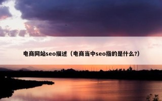 电商网站seo描述（电商当中seo指的是什么?）