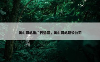 黄山网站推广代运营，黄山网站建设公司