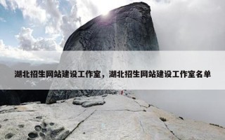 湖北招生网站建设工作室，湖北招生网站建设工作室名单