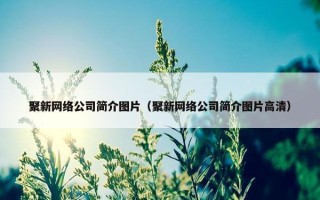 聚新网络公司简介图片（聚新网络公司简介图片高清）