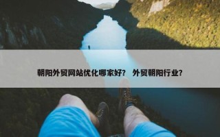 朝阳外贸网站优化哪家好？ 外贸朝阳行业？