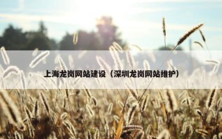 上海龙岗网站建设（深圳龙岗网站维护）