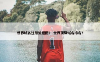 世界域名注册流程图？ 世界顶级域名排名？
