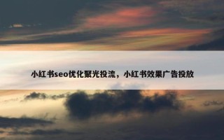小红书seo优化聚光投流，小红书效果广告投放