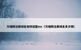 万维网注册域名如何设置mx（万维网注册域名多少钱）