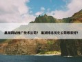 巢湖网站推广技术公司？ 巢湖排名优化公司哪家好？