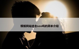 模板网站适合seo吗的简单介绍