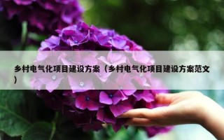 乡村电气化项目建设方案（乡村电气化项目建设方案范文）