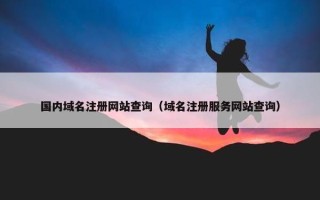 国内域名注册网站查询（域名注册服务网站查询）