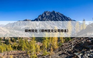 郑州优化（郑州优化公司排名）