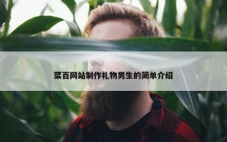 菜百网站制作礼物男生的简单介绍
