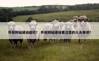 外贸网站建设避坑？ 外贸网站建设要注意的八大事项？