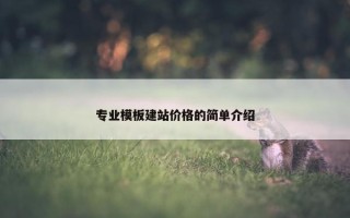 专业模板建站价格的简单介绍