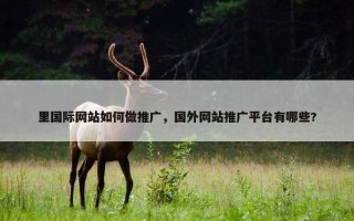 里国际网站如何做推广，国外网站推广平台有哪些?
