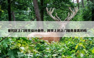 普陀区上门网页设计条件，网页上的上门服务是真的吗