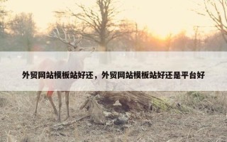 外贸网站模板站好还，外贸网站模板站好还是平台好