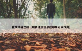 查找域名注册（域名注册信息在哪里可以找到）